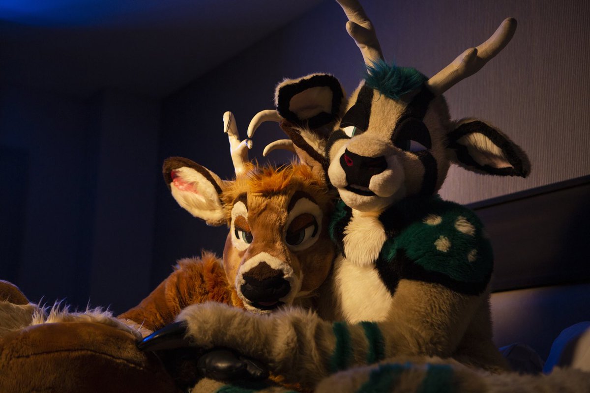 Just 2 bucks in a bed 

#FursuitFriday with <a href="/atty_boy/">Bambillions</a>