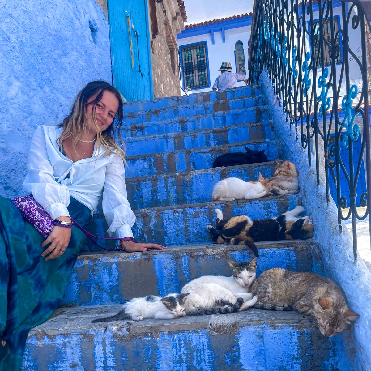 VertoEducation's tweet photo. Picture this: Spending your first year of college immersed in two vibrant countries!

*Cats not guaranteed on Verto experience 🐱

#gapyear #studyabroad #vertoeducation https://t.co/wAPHqkgYrO