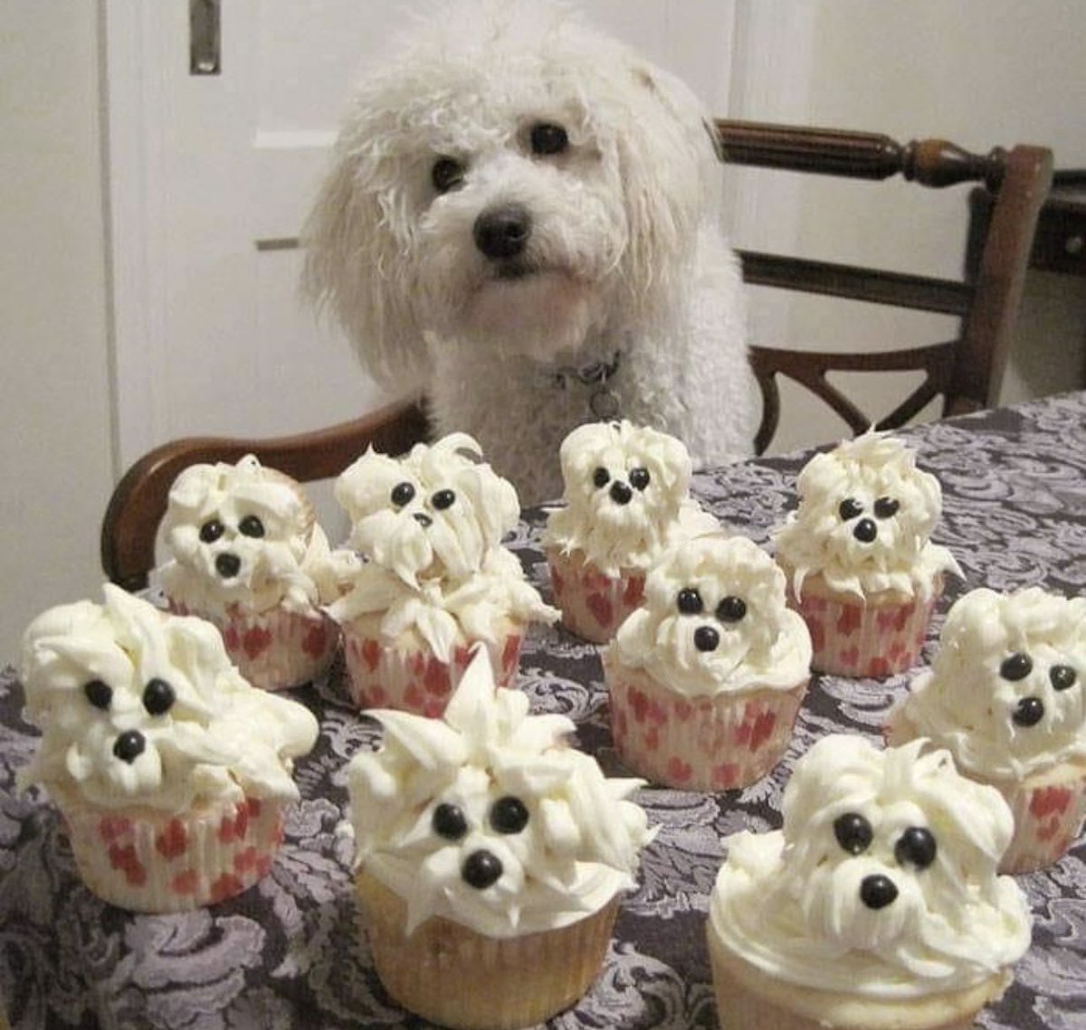 si no me dan algo así no quiero nada