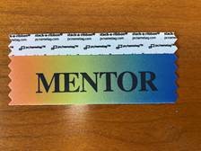 The @ISHR_NAS Women’s Initiative is excited to launch a #mentorship program at the Madison ’23 meeting! Look for participating mentors w/ this ribbon & approach them w/ questions RE: career advice & beyond @yingge2121 @Robinson7L @TMHalePhD @mkontari @PilarAlcaidePhD @dr_kcwoulfe