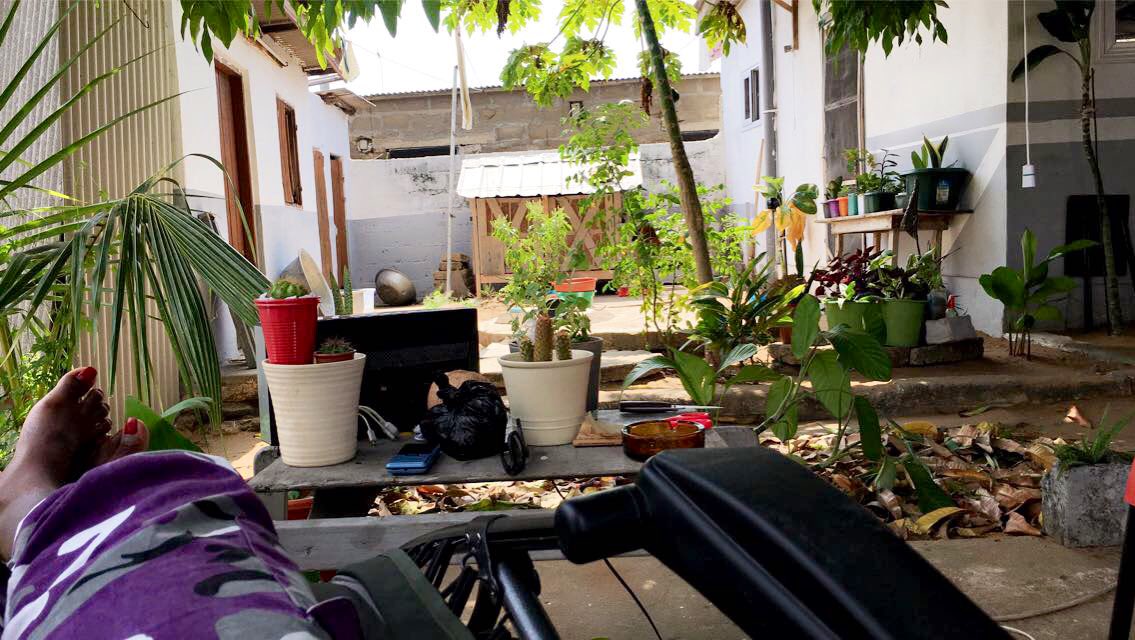 Green Home 🏡🐝☑️