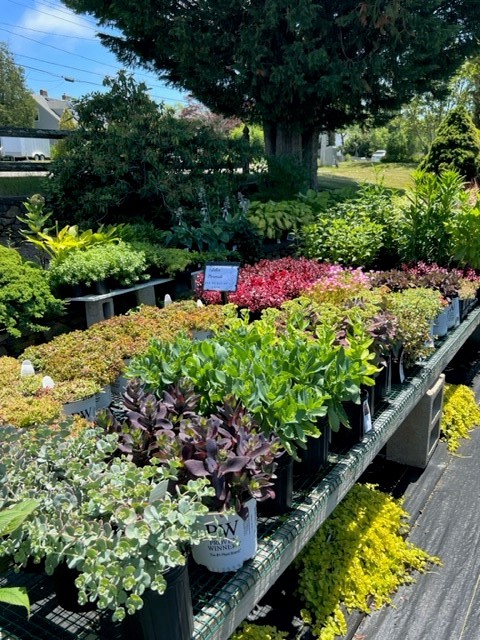 James L Maher Center tweet media