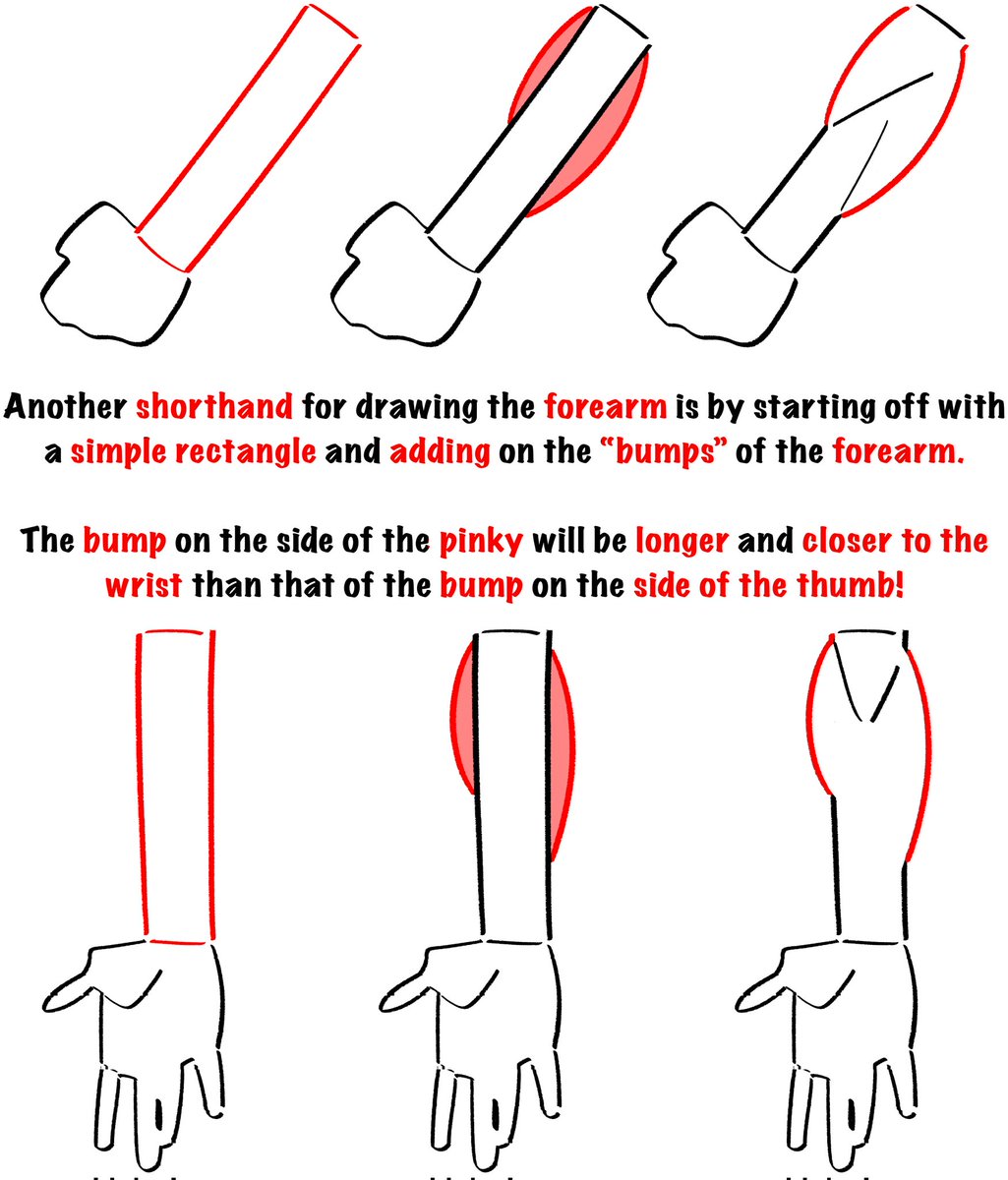 EmilioDekure On Twitter Notes For Drawing The Forearm And Lower Legs emiliodekure-on-twitter-notes-for-drawing-the-forearm-and-lower-legs