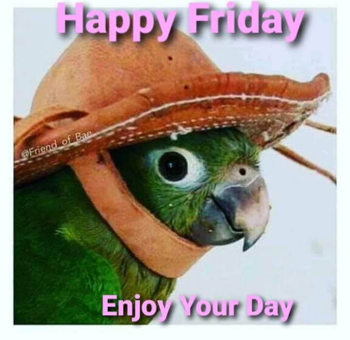 Happy Friday! 🌸🦜🌷