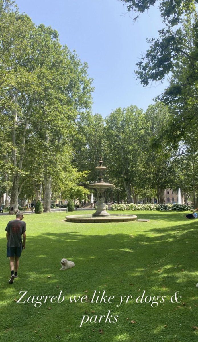 Foals Worldwide tweet media