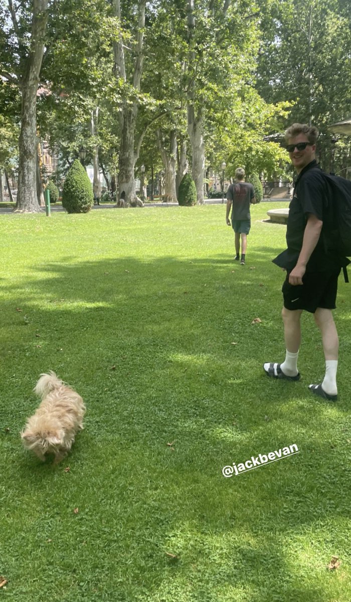 Foals Worldwide tweet media