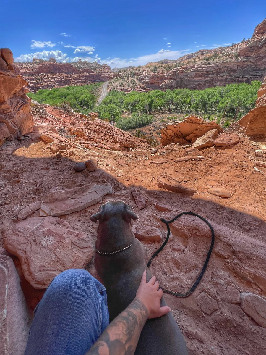 Taleigha Eichel TOP 0.1% (SPICY COWGIRL)💦🤠 on Twitter: "Utah has my heart⛰️ * Background story