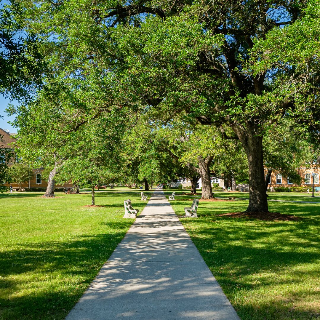 MCA member schools offer a dynamic and personalized education experience that equips you with the skills, knowledge, and confidence to pursue your dreams and make a positive impact on the world.⁣