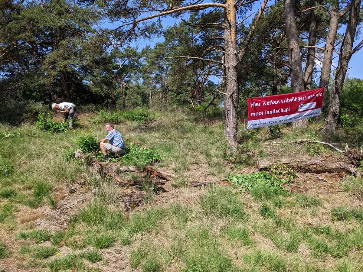 Vandaag was ik bij de seizoensafsluiting  van de Natuurwerkgroep Bos &amp; Heide Ede. Wat leuk hierbij te zijn, wat verzetten ze veel werk! Met aandacht voor veilig werken. In het najaar willen ze ook nog schoolklassen mee nemen de hei op, hoe tof is dat! <a href="/gem_ede/">Gemeente Ede</a> <a href="/SLGelderland/">Stichting Landschapsbeheer Gelderland</a>