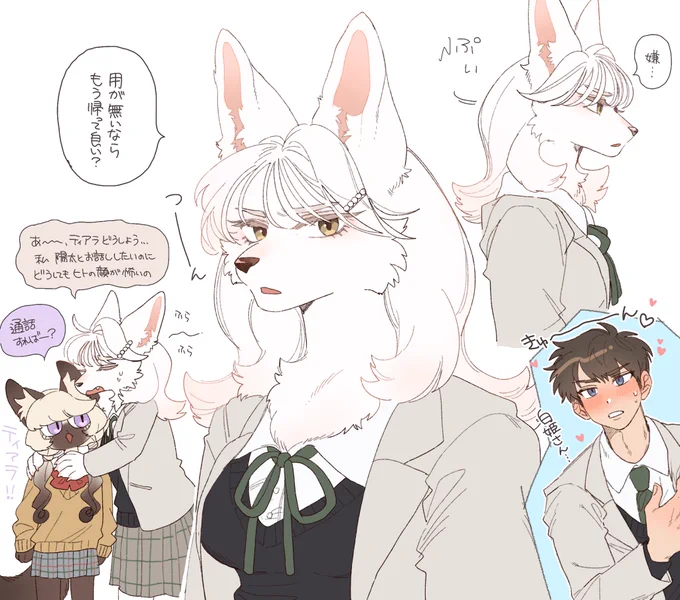 白姫ちゃんはヒト嫌い🧸 