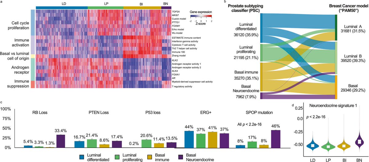 Unlocking the complexity of prostate cancer: Novel subtyping reveals distinct tumor characteristics and treatment responses. A game-changer in personalized cancer management, paving the way for tailored approaches to improve outcomes. 
#ProstateCancer #PersonalizedMedicine…