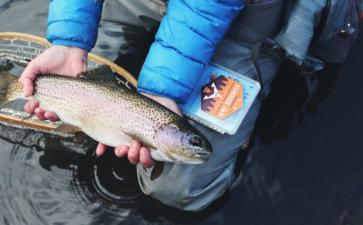 AllOutdoor.com tweet media