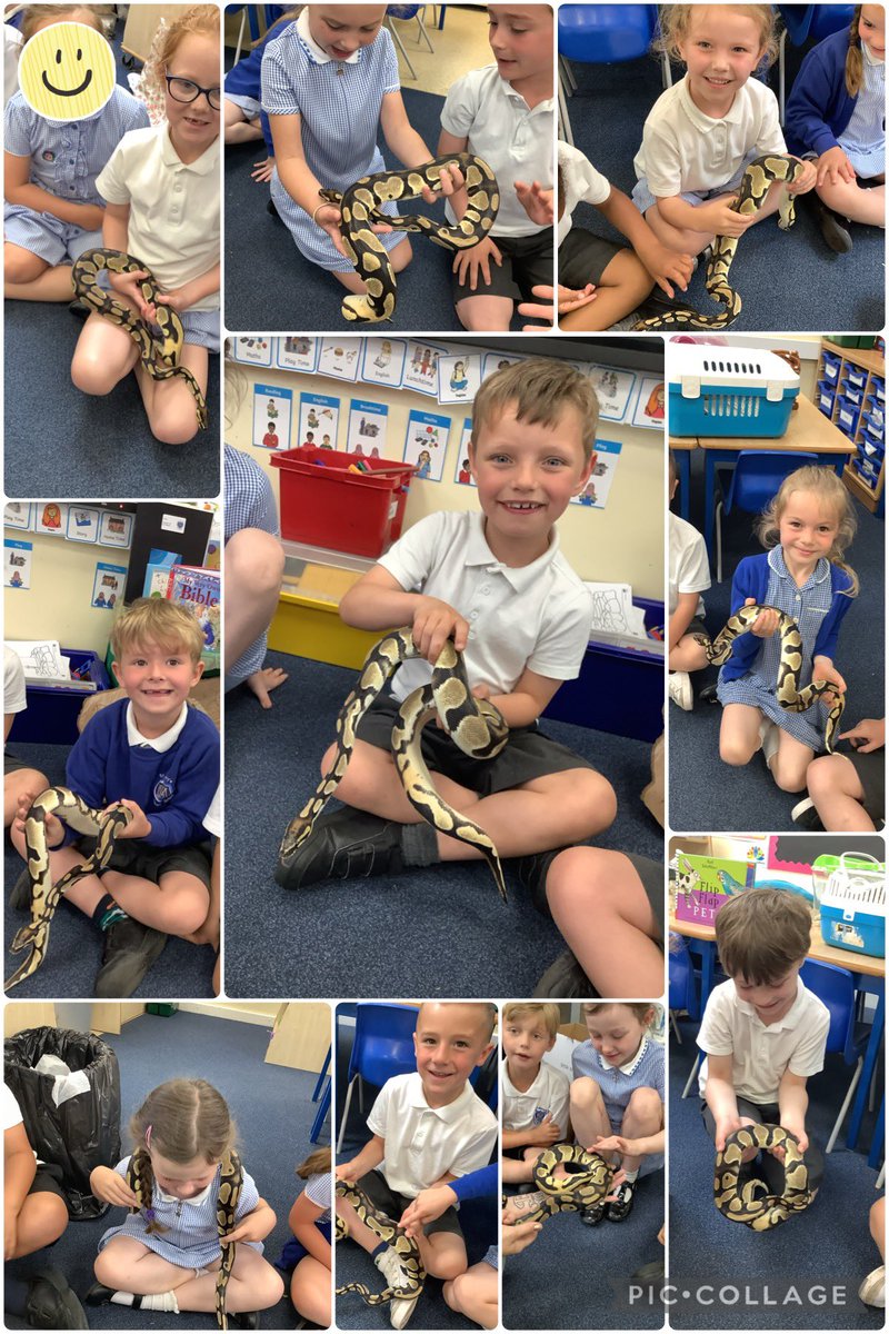 StMarysSchoolRC's tweet photo. Super Brave!! π±π«£ #smrcscience https://t.co/nFP7qysv4D