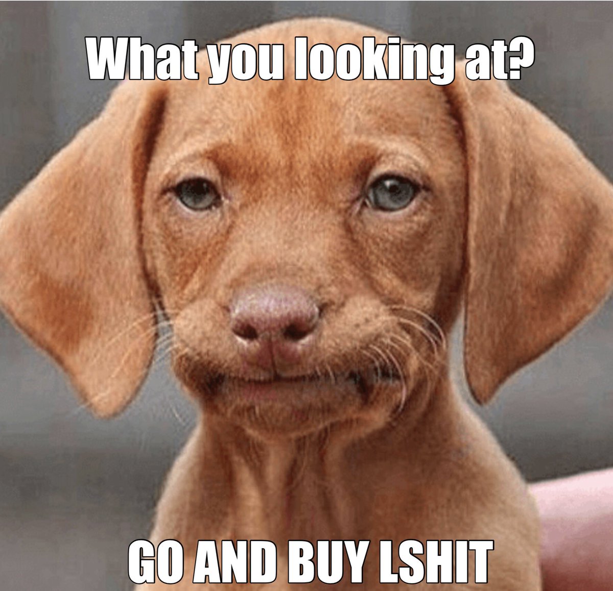 Listen to the wise words.