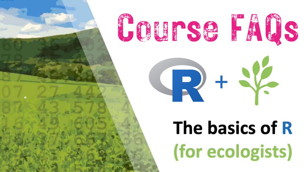 🌱 You're an ecologist but struggling with R?
👉 Then my Basics of R (for ecologists) course is for you...
🌟 and enrollment has just opened!

I've been getting a lot of questions about the course. So, let's tackle 5 FAQs right here in this thread! ⬇️ 

#rstats