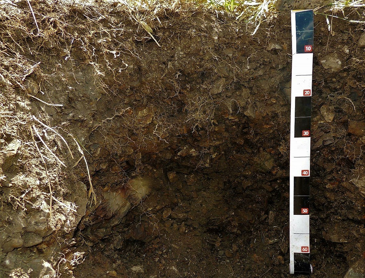 CommsEarth's tweet photo. Francisco Ruiz explains how constructing soil in mined areas can help tackle carbon dioxide emissions in mining

https://t.co/n2Sn3L2oCS https://t.co/4Cugt7WbHg
