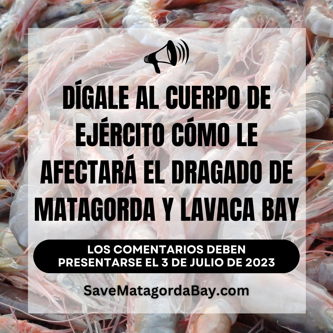 SABWaterkeeper's tweet photo. The Army Corps needs to hear YOUR concerns by July 3rd about plans to dredge Matagorda and Lavaca Bay to complete a massive export terminal for oil tankers. Dredging would devastate the fishing community who depend on healthy bays for their livelihoods🎣. https://t.co/zZ7NkjJi27 https://t.co/MlmqlKVszL