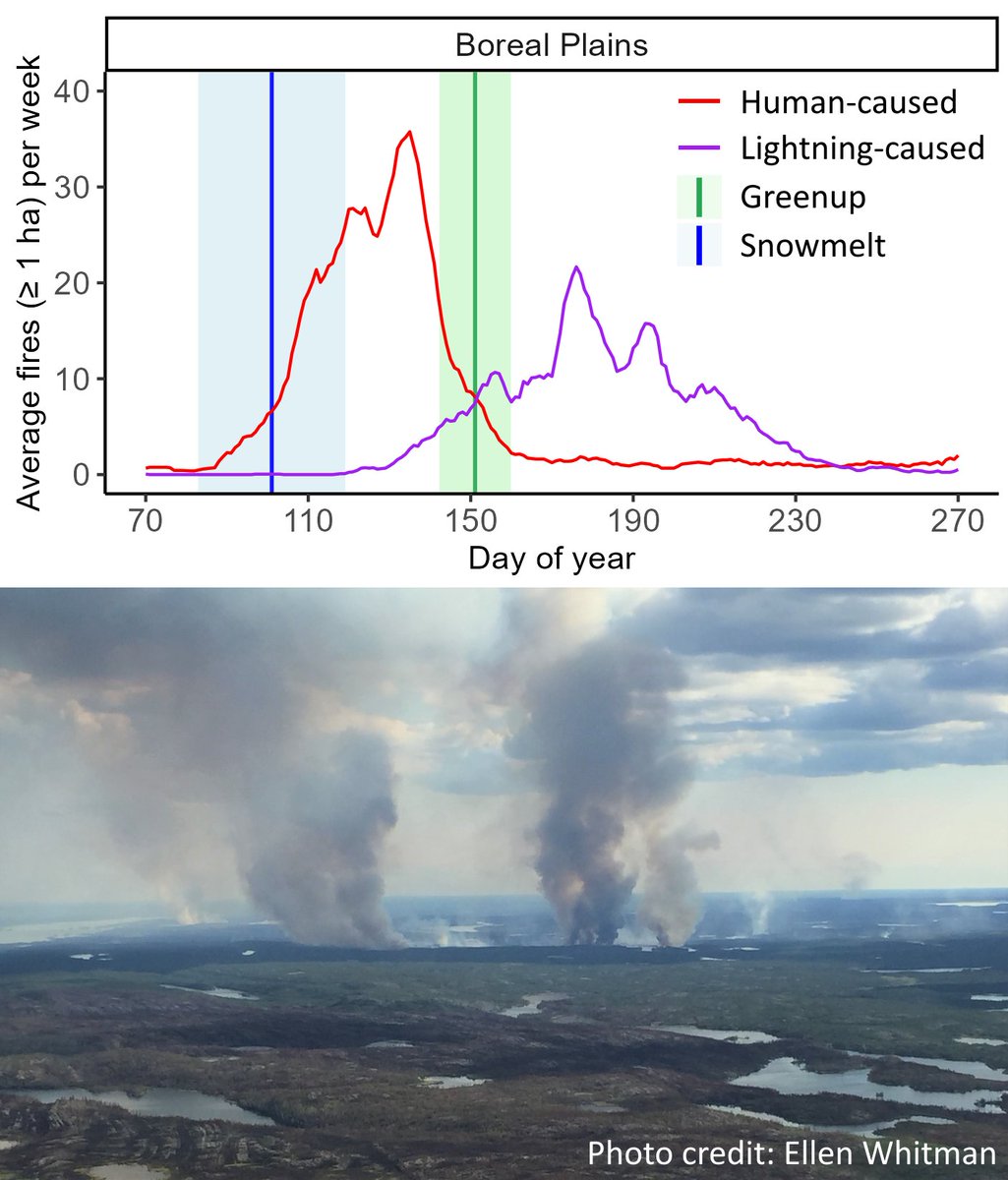 Michael Norton (@northern_norton) on Twitter photo A recent Canada-wide study from members of our fire team and <a href="/mikeflannigan/">Mike Flannigan</a> provides insights into why the interior west (Boreal Plains ecozone) is especially vulnerable to human-caused #wildfires in the spring, as many in Western Canada experienced firsthand this year. 🧵  (1/5) A recent Canada-wide study from members of our fire team and <a href="/mikeflannigan/">Mike Flannigan</a> provides insights into why the interior west (Boreal Plains ecozone) is especially vulnerable to human-caused #wildfires in the spring, as many in Western Canada experienced firsthand this year. 🧵  (1/5)
