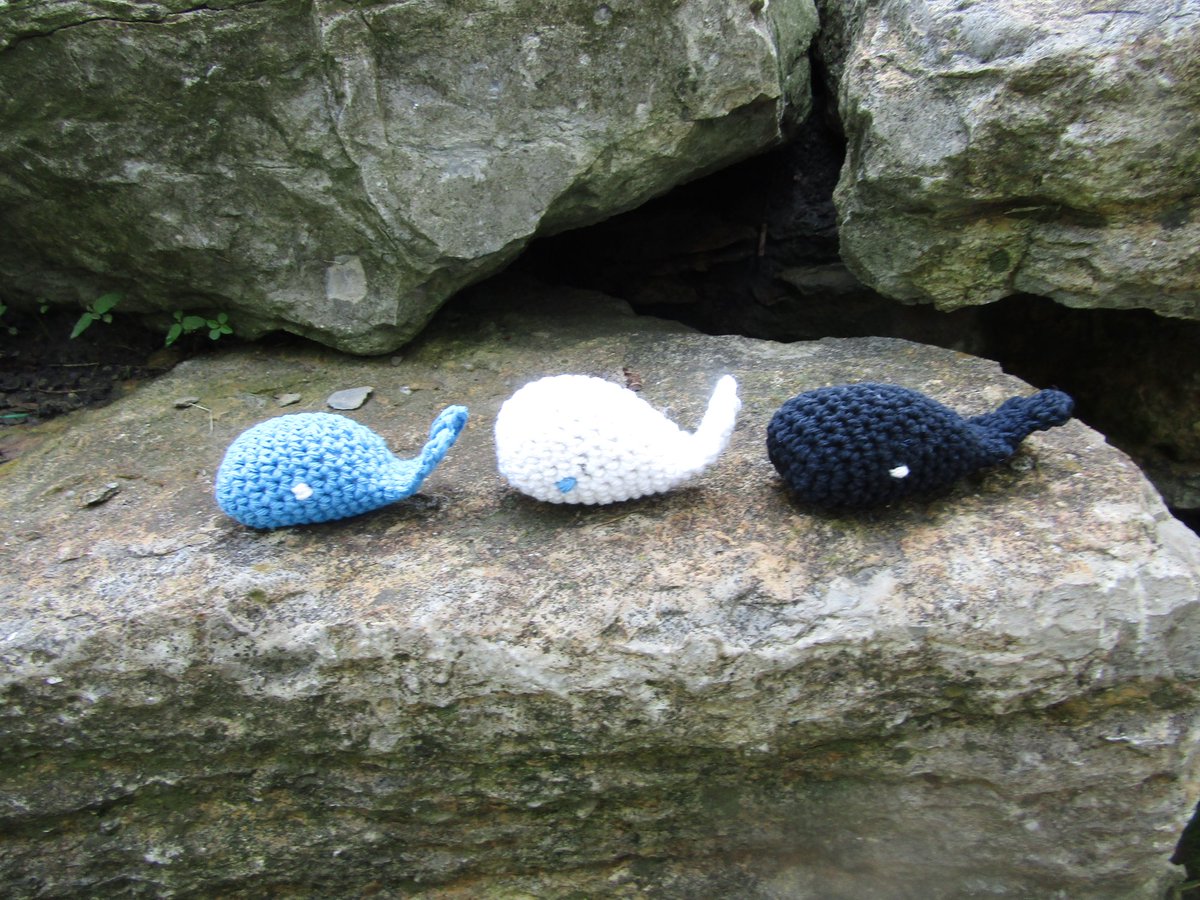 WednesdayElf's tweet image. Crochet Catnip Whale Cat Toy. Toy Amigurumi Whale Cat Toy w/ Organic Catnip. Choose from a Collection of Colors. Crochet Cotton Yarn Cat Toy etsy.me/3qQfHjm via @Etsy #CatnipWhale #CatnipCatToy #Etsy #CatToy #Handmade #CrochetCatToy