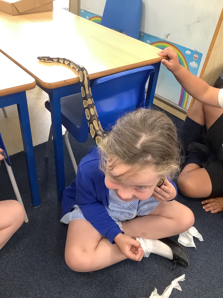 StMarysSchoolRC's tweet photo. Kai the snake loved our classroom so much, we think he wants to join Year 1! π€π #smrcscience https://t.co/wvlgttfmhX
