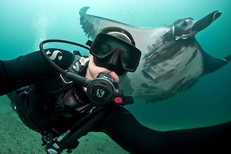 #sustainability takes time. Lots of time. @MarineMegafauna co-founders Andrea Marshall @QueenofMantas and @SimonPierce know exactly how much. DIVE spoke to them about MMF's formative years in #Mozambique divemagazine.com/scuba-diving-l…