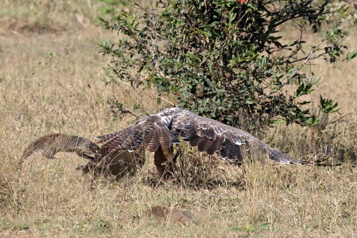 Актуальный Мир tweet media