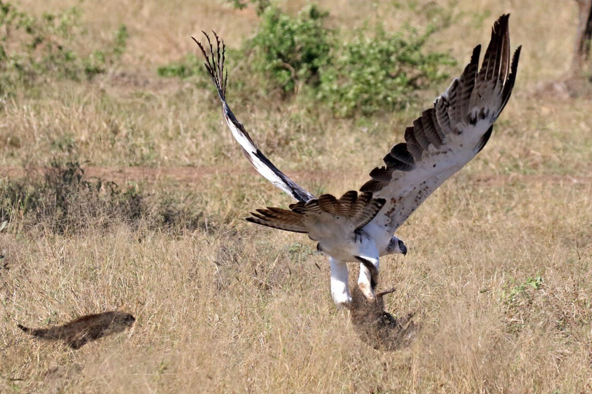 Актуальный Мир tweet media