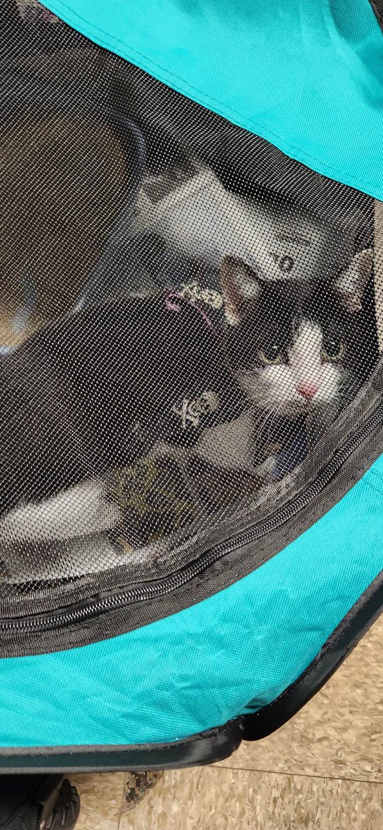 PRE-SHOW CHILL

#JAXACROCAT #ACROCATS