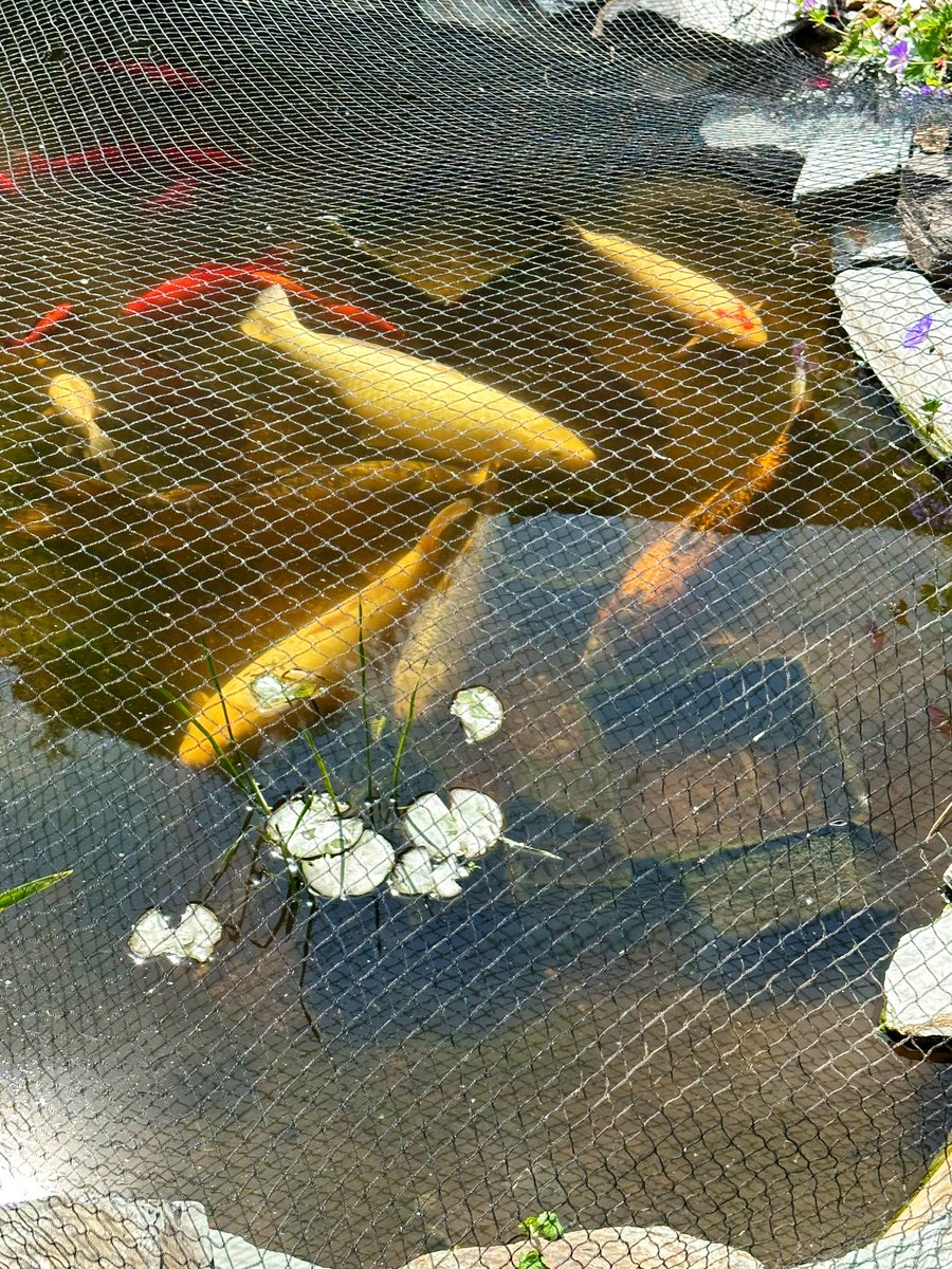 jules serkin tweet media