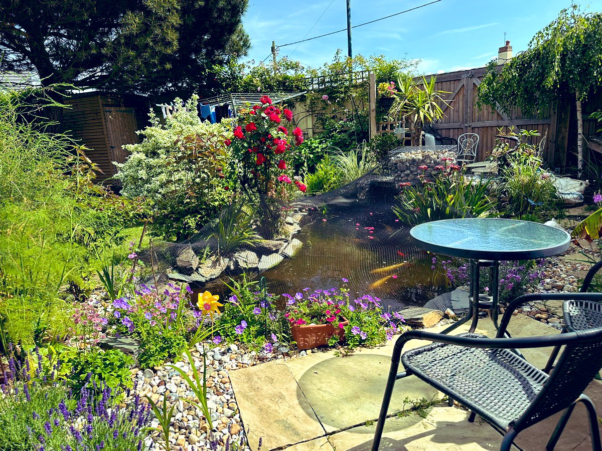 jules serkin tweet media