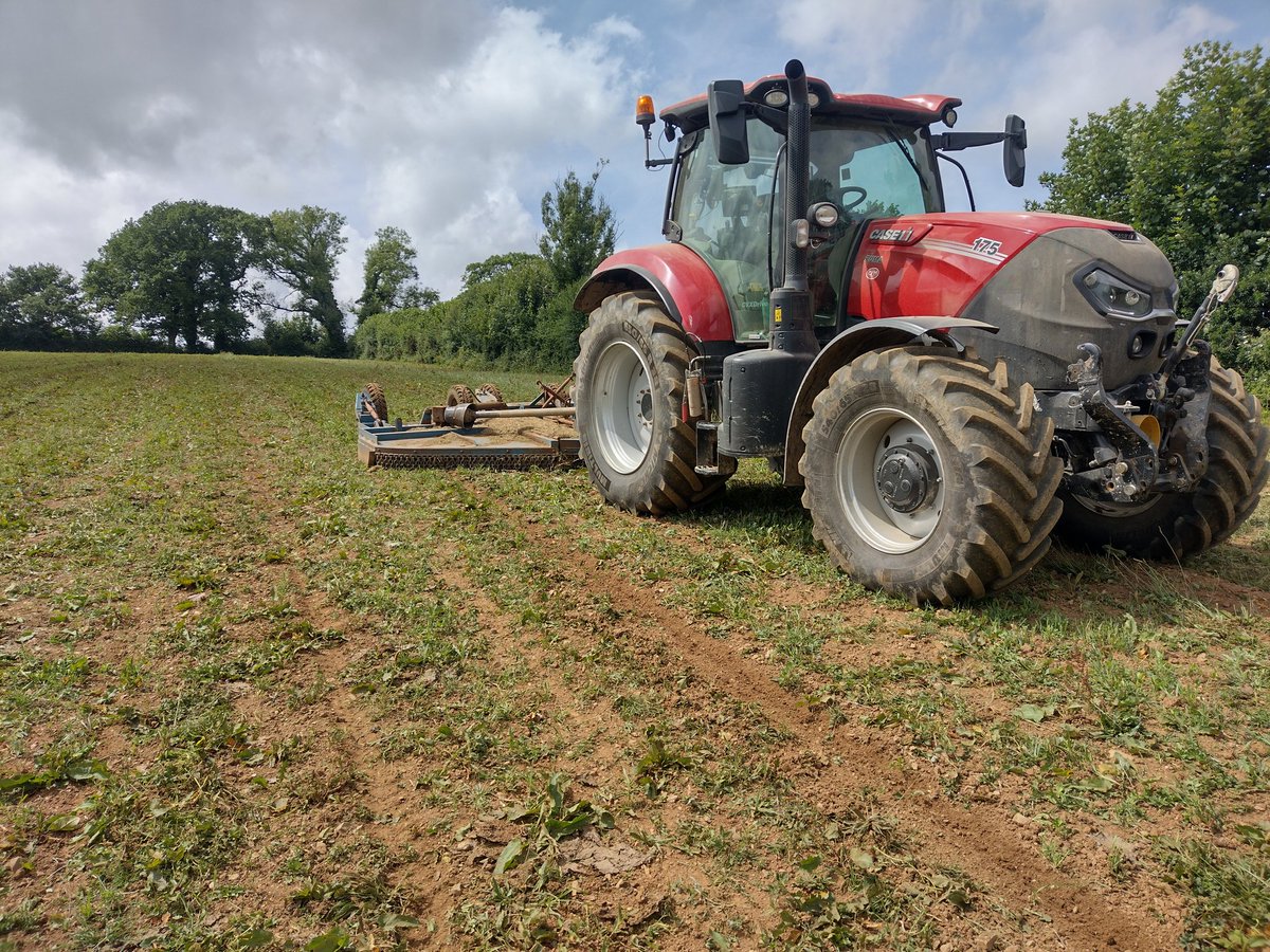 The topper has finished off what there was of our spring barley. Seen no rain since drilling until last week, which was too late. De risking our business means no more spring cropping, reliable rain is no longer a given. Any politician not taking food security seriously is a fool