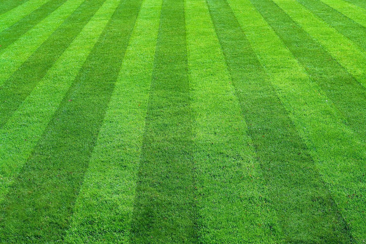 JohnDeere's tweet photo. If you know, you mow https://t.co/Q79IszrpO6