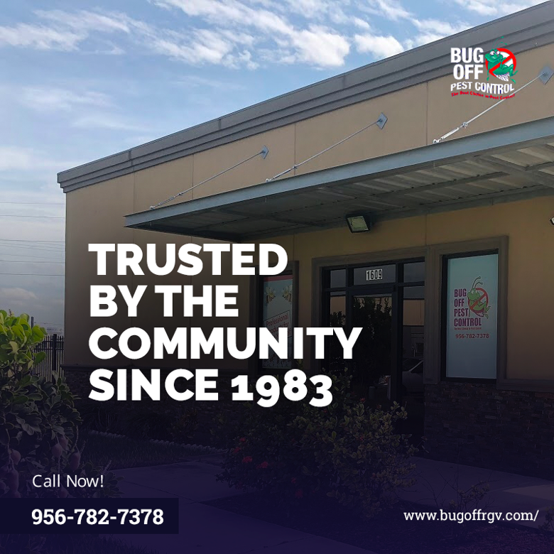 BugOffRGV's tweet image. Our pest control service is equipped to handle a wide range of pests from rodents to termites. Trust us to get the job done right. Contact us today at 956-782-7378 for all your pest control needs.