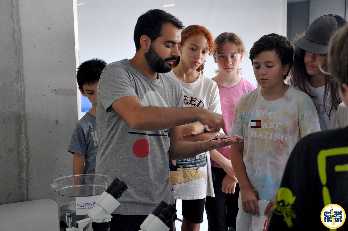 adopt a float tweet media