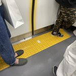 お札が電車の出入り口付近に落ちている!乗客全員の何かが試されている？!