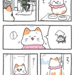 「ねこ転」その139が公開!プンちゃんの新衣装が可愛い!