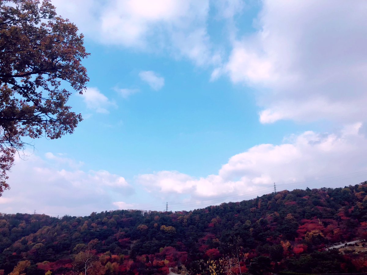 V6kt5RKQ3oHbEiA's tweet image. ヨンハが降りて来そうな空の色じゃない？

#박용하
#パク・ヨンハ
#ParkYongHa