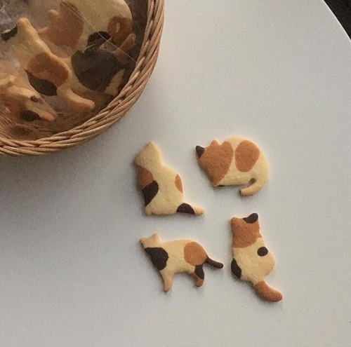 Cat cookies made by 02_bake