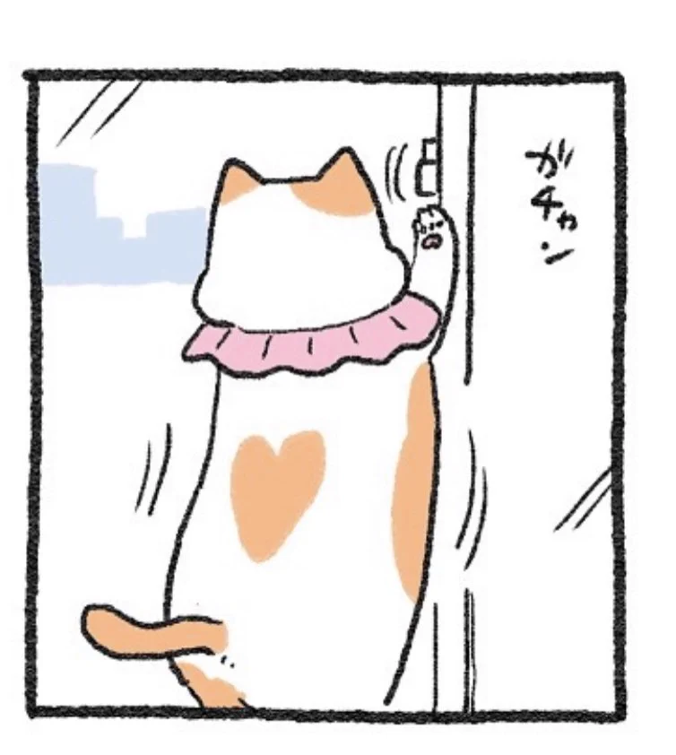 @yajima_en てぷちゃんの中でぷんたんはお友達認定されてるのかな……⁉️😢U0001faf6🏻
ずっと思ってたけどてぷちゃんの背中の模様ハートで本当に愛おしい🧡🧡🧡 