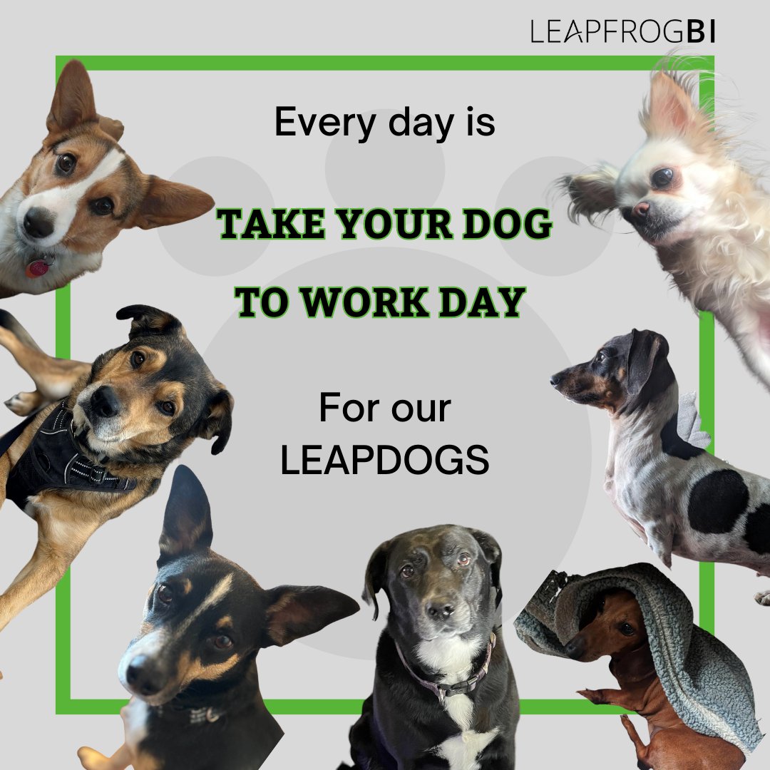 Happy Take Your Dog to Work Day. We hope you have a pawsome day.

#takeyourdogtowork #LeapFrogBI