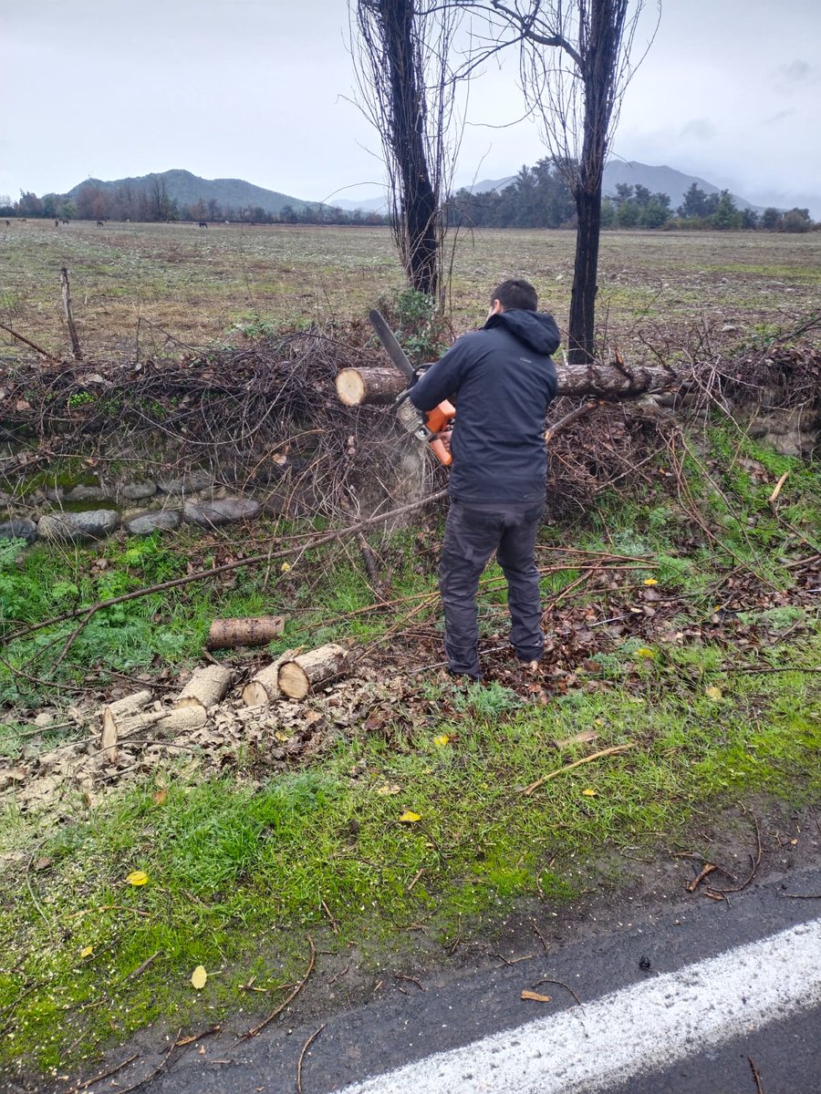 Requinoa2014's tweet photo. Desde el jueves en terreno funcionarios de Obras Menores, Seguridad Pública, Carabineros y Bomberos de Requínoa. Se han reportado caídas de árboles, pequeños anegamientos, algunas voladuras de techumbre y cortes de electricidad. En caso de emergencias llamar al +56 9 92249453. https://t.co/aYIXVwM2BQ