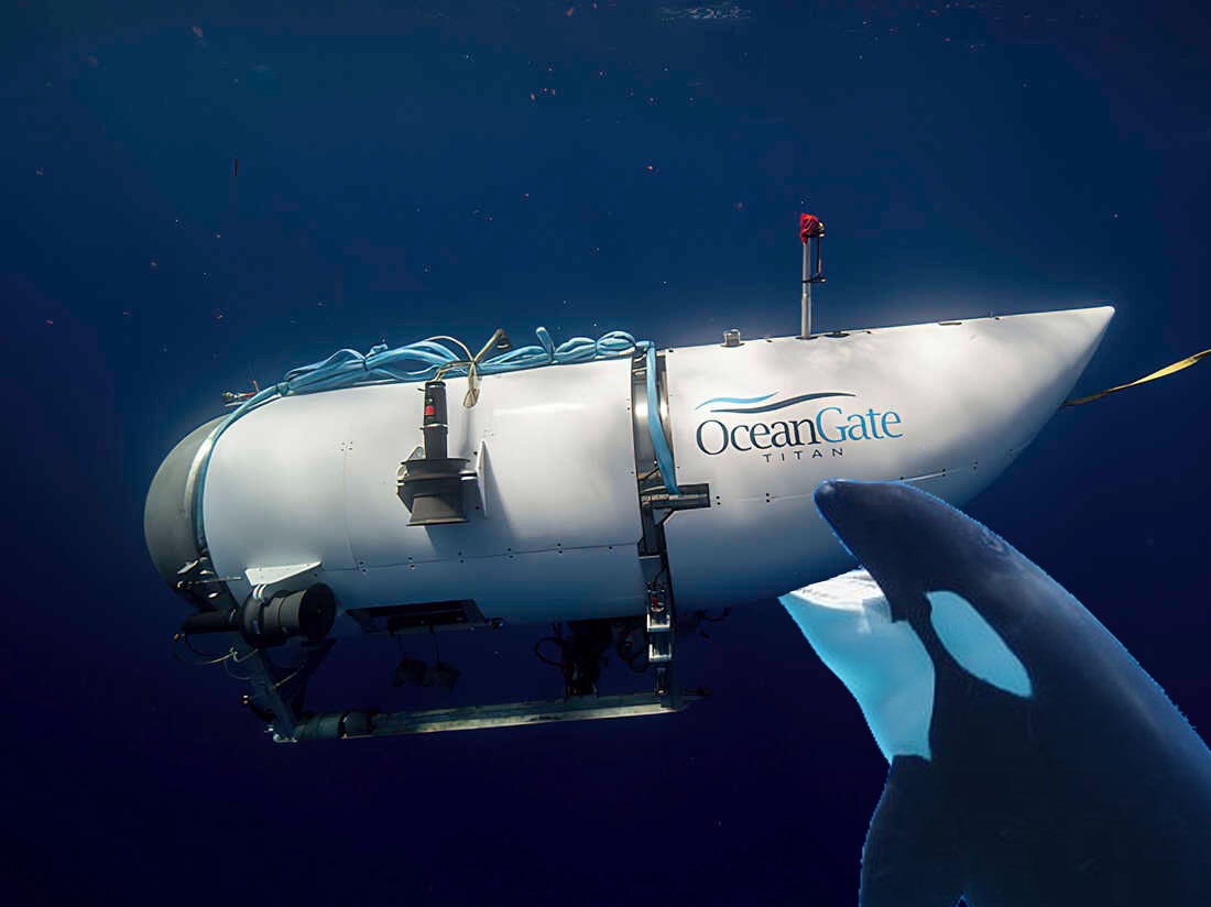 Technomancer Joe tweet media