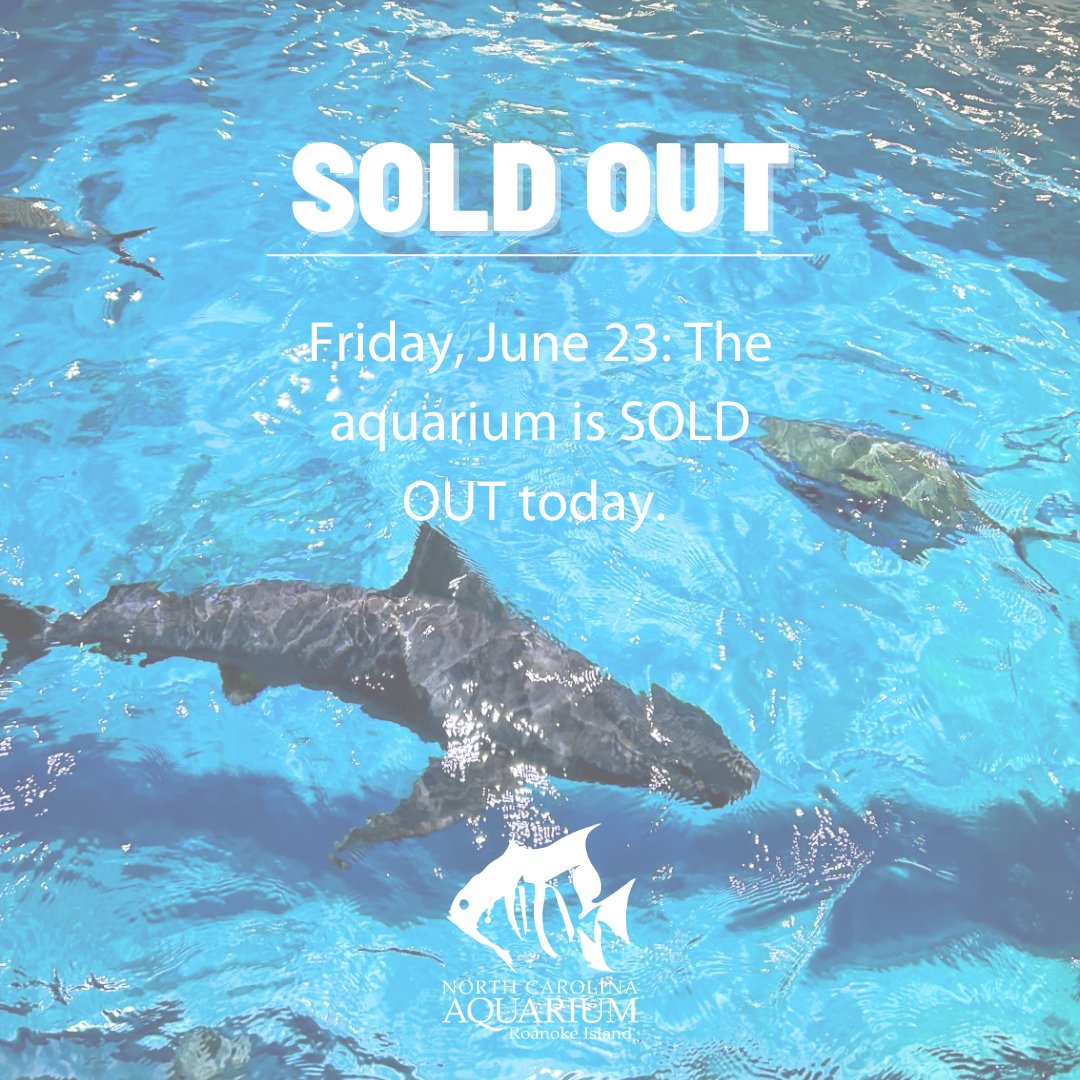 All tickets are sold out for Friday, June 23, 2023. Spots are still available Saturday, June 24!
**Comments offering tickets for sale by a third party will be removed as we do not allow third party sales on our platforms.**