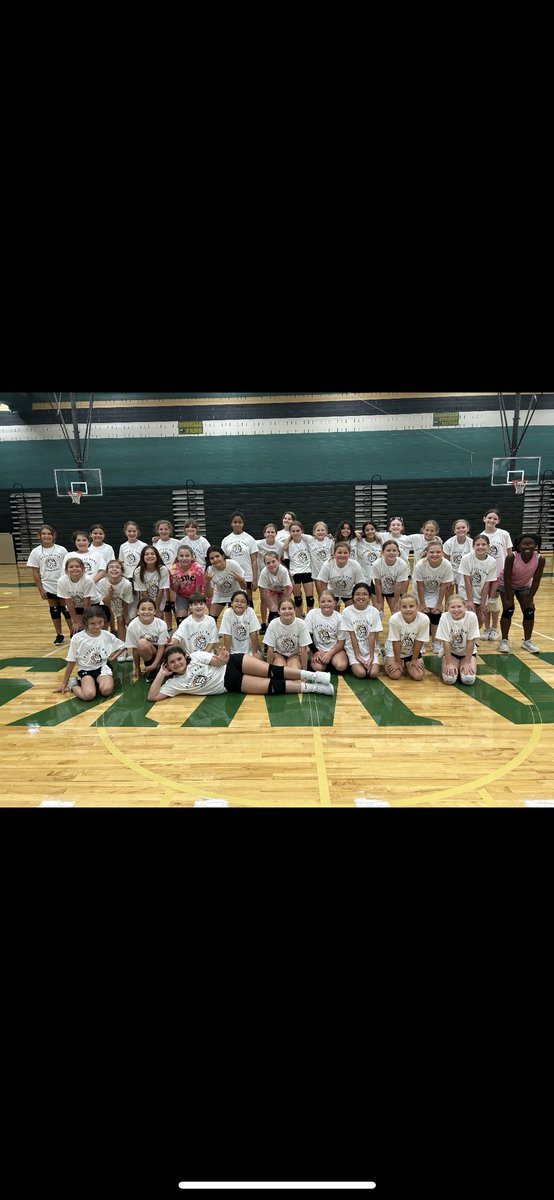 Birdville Volleyball tweet media