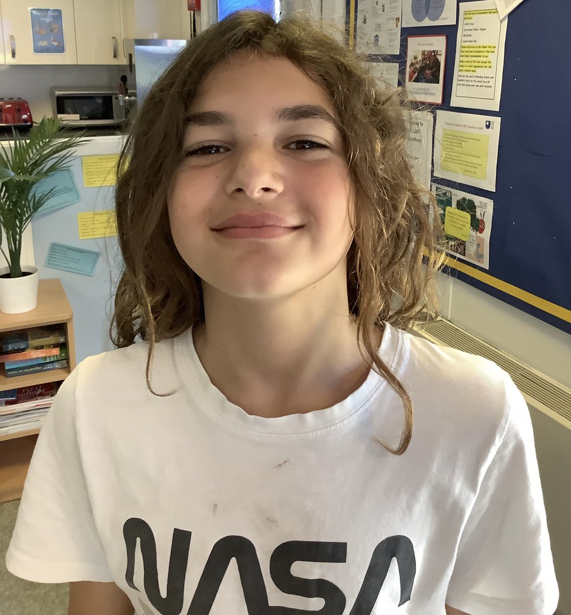 Wales Primary School tweet media