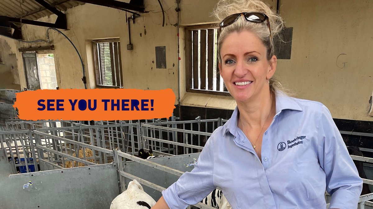 CALFMATTERS tweet media