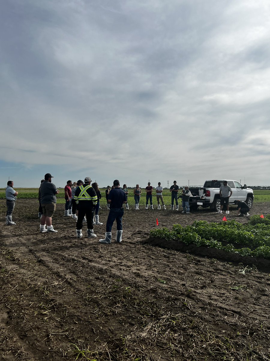 Susan Ainsworth tweet media