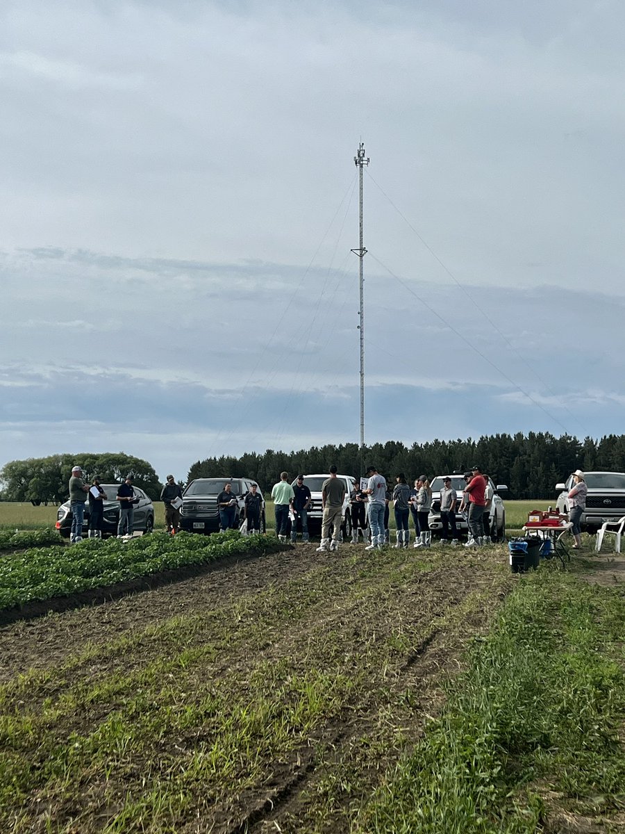 Susan Ainsworth tweet media