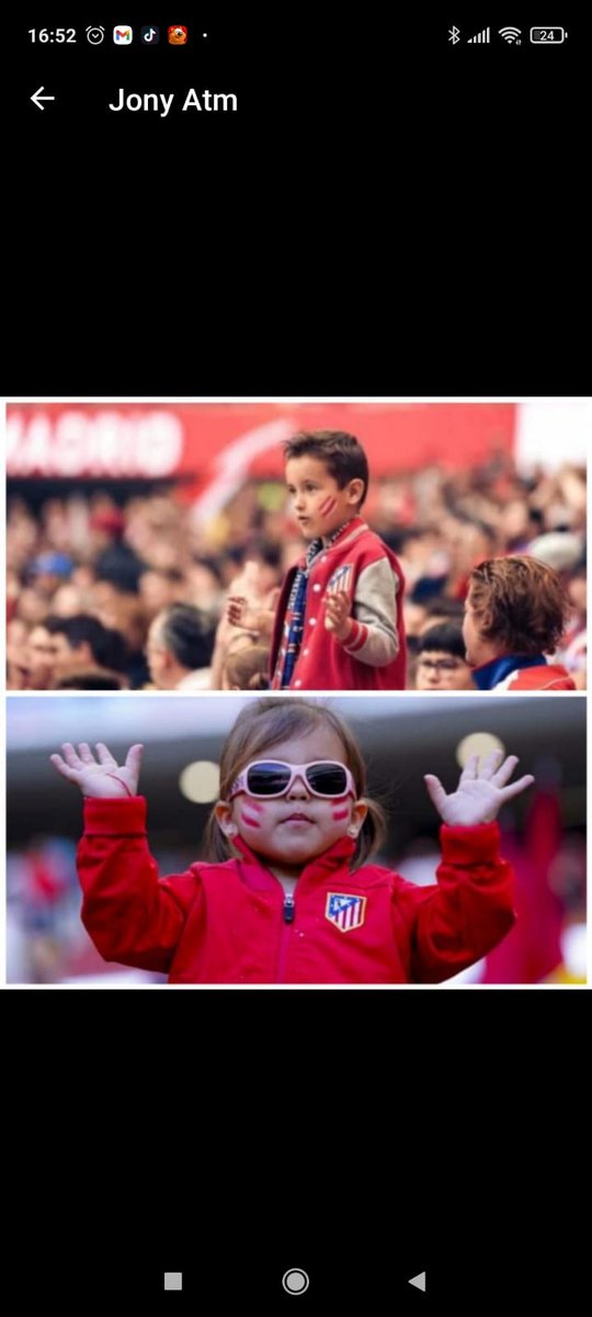 chonaldea's tweet photo. Nuestro escudo https://t.co/JyM3HwES9O