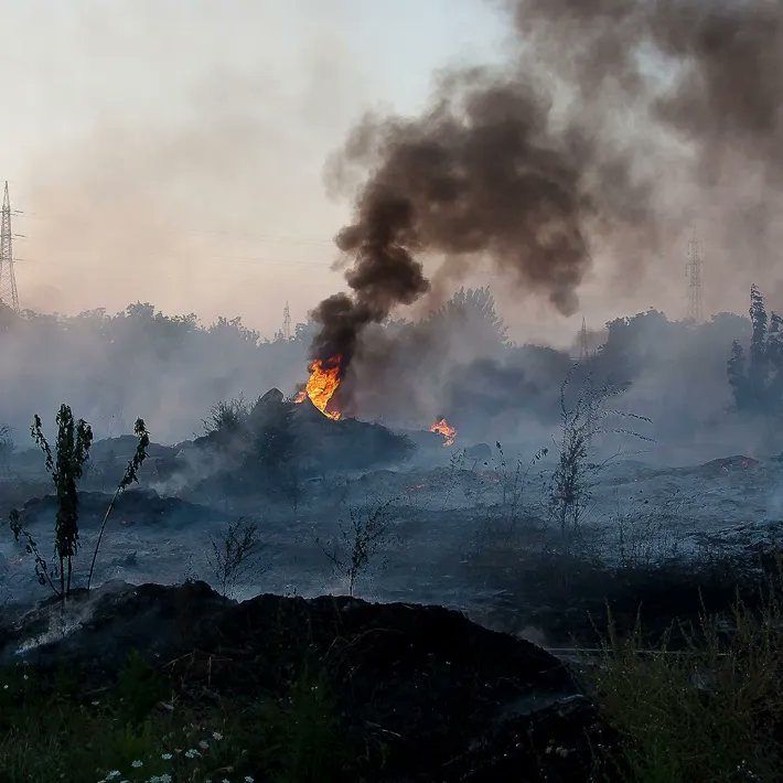 MafiaExposed's tweet photo. TOXIC SHOCK. Decades of illegal waste-dumping by the Camorra—and government inaction—have created cancer clusters in Italy’s “Land of Fires.” Some officials still deny a link. https://t.co/x40YlQEqtl
@GiuliaParavicin #Camorra #Mafia #Naples #truecrime https://t.co/5ZXCawkVUk